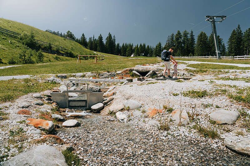 Bergeralm im Sommer 